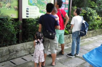 深圳市野生动物园珍惜鸟街