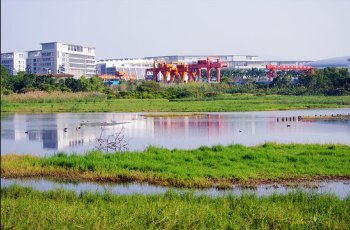 华侨城湿地公园