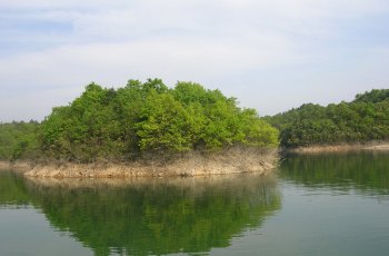 青龙湾国家森林公园