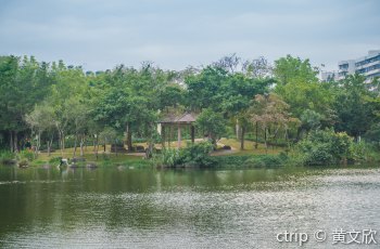 霞湖公园