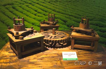 贵州茶文化生态博物馆