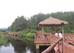 汀江国家湿地公园