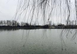 安庆莲湖公园