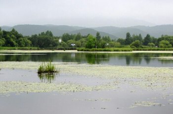 紫菱湖旅游区