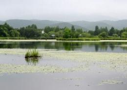 紫菱湖旅游区