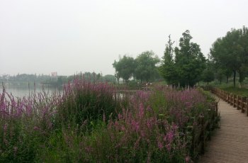 西北环城水系公园