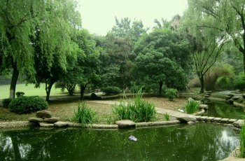 菊花塘公园