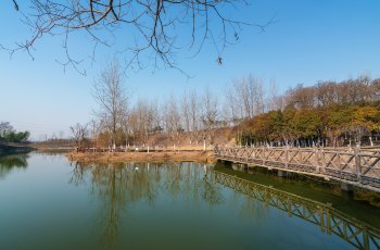 古淮河文化生态景区