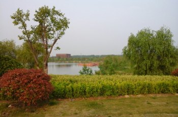 睢宁白塘河湿地公园
