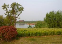 睢宁白塘河湿地公园
