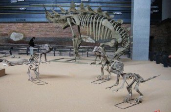 朝阳市古生物化石博物馆