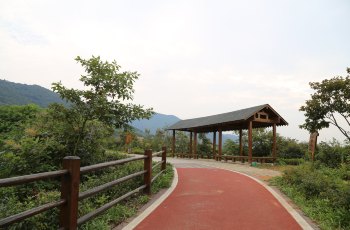 龙池山自行车公园
