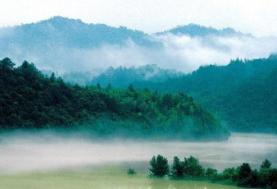 三爪仑国家森林公园