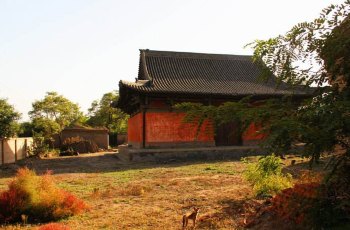 光化寺