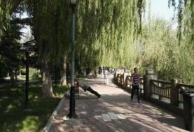 黄河河套文化旅游区湿地公园
