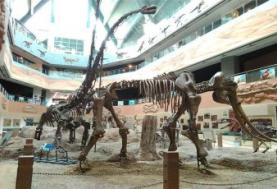 昌吉恐龙博物馆