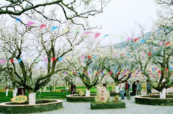 梨文化博览园