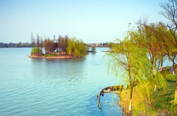 大淀湖
