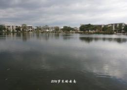 小桂湖