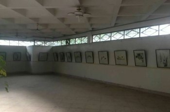 临海市博物馆
