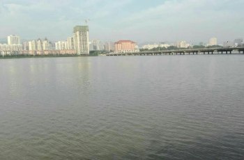 金渭湖