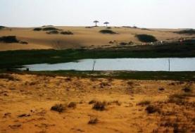 驼铃梦坡沙漠生态旅游景区