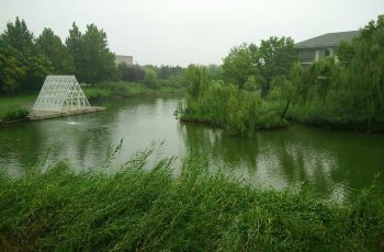 稻香湖自然湿地公园